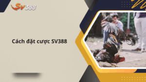 Cách đặt cược SV388