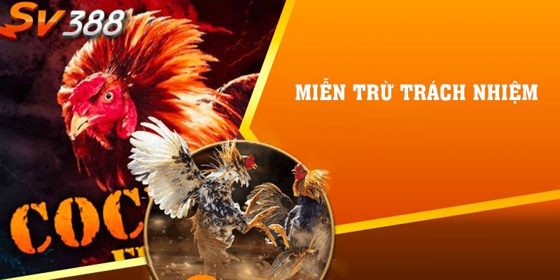 Miễn trừ trách nhiệm SV388, hiểu để chơi an toàn minh bạch 1 Đôi nét giới thiệu về đá gà online SV388