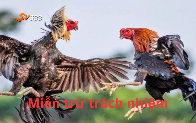 Miễn trừ trách nhiệm SV388, hiểu để chơi an toàn minh bạch 2 Những trường hợp miễn trừ trách nhiệm SV388