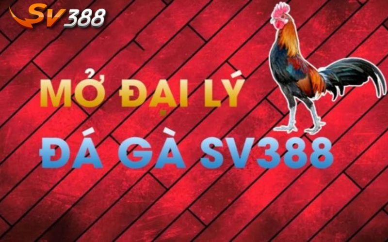 Hợp tác đại lý SV388 - Lợi nhuận cao lên đến 40% 4 Quy trình đăng ký trở thành đại lý SV388 nhanh chóng