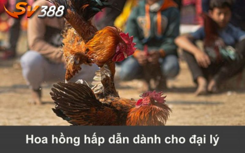 Hợp tác đại lý SV388 - Lợi nhuận cao lên đến 40% 6 Phương pháp tính tiền thưởng hoa hồng dành cho đại lý SV388