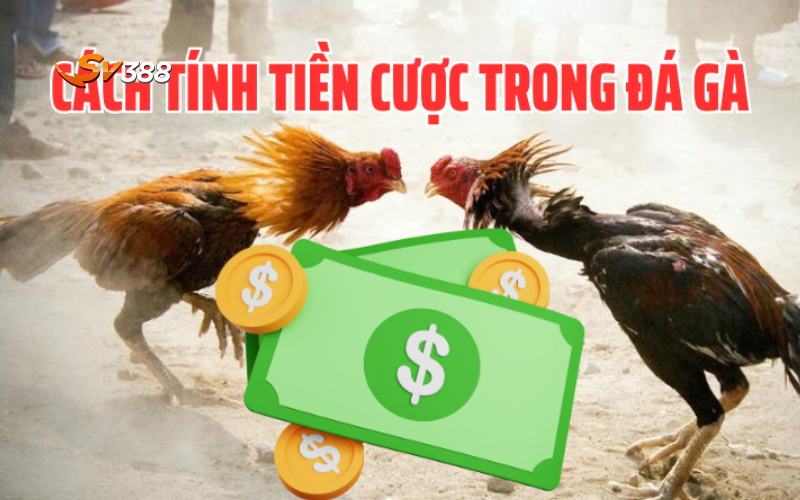 Hướng dẫn cách đặt cược SV388 tỷ lệ thắng cao 2025 4 Tính tiền đặt cược SV388
