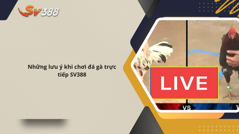 Đá gà Campuchia SV388 trực tiếp 2025, xanh chín uy tín 3 Lưu ý quan trọng khi chơi đá gà Campuchia SV388