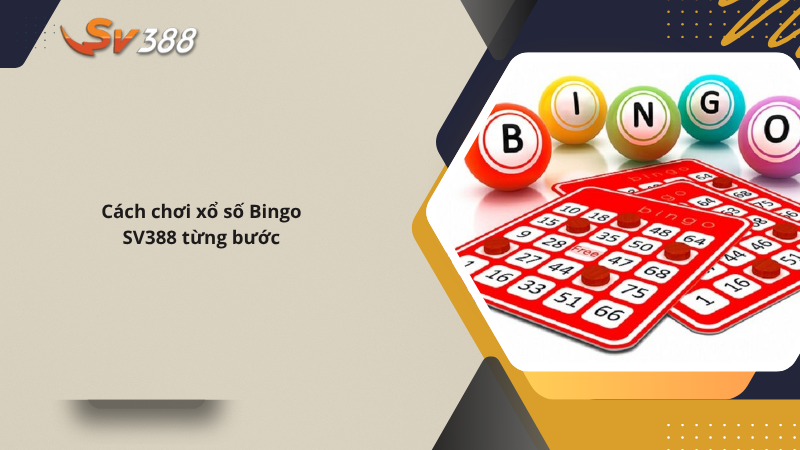 Hướng dẫn chơi xổ số Bingo SV388 từ A-Z, mẹo trúng lớn 2 Cách chơi xổ số Bingo SV388 từng bước