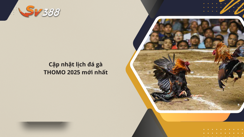 Live đá gà trực tiếp C1 SV388, lịch đá gà THOMO mới 2025 2 Cập nhật lịch đá gà THOMO 2025 mới nhất