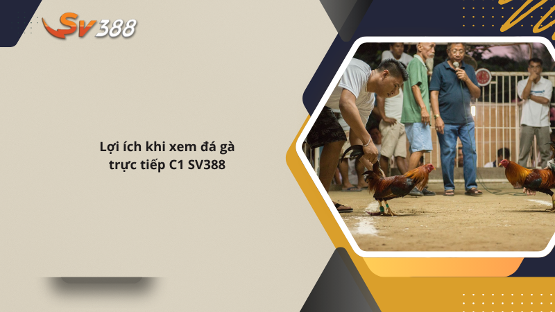 Live đá gà trực tiếp C1 SV388, lịch đá gà THOMO mới 2025 3 Lợi ích khi xem đá gà trực tiếp C1 SV388