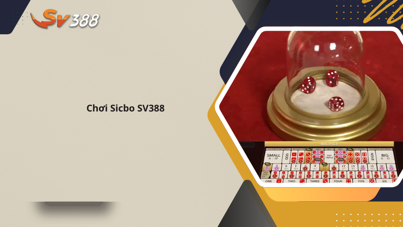 Mẹo chơi Sicbo SV388 cược thắng lớn 1 Chơi Sicbo SV388